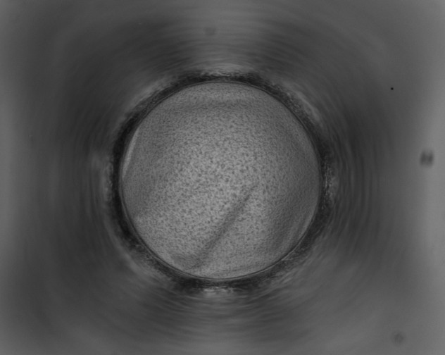 X0000101140591200807181257