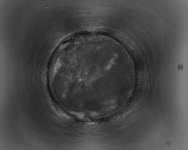 X0000101140592200807181256