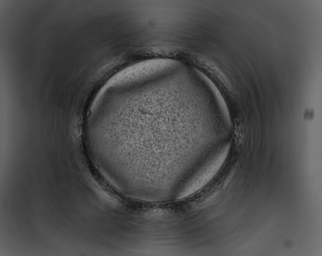 X0000101140593200807181256