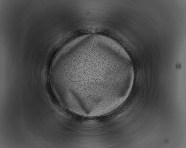 X0000101140594200807181256