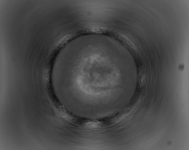 X0000101140595200807181256