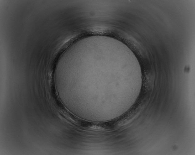 X0000101140596200807181256