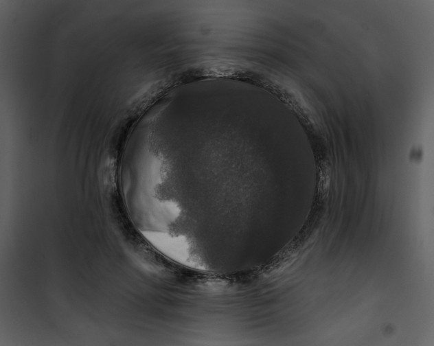 X0000101140598200807181256