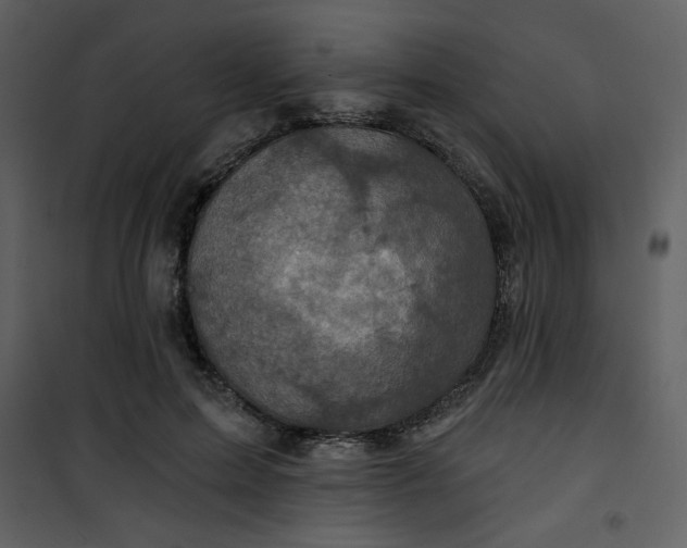 X0000101140599200807181256