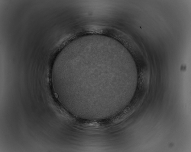 X0000101140600200807181256