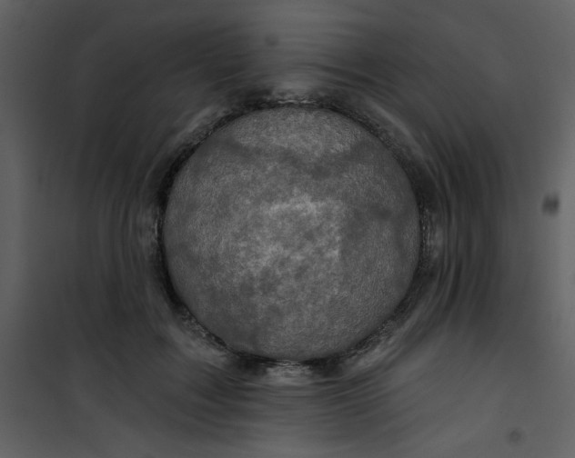 X0000101140603200807181256