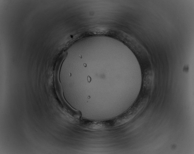 X0000101140604200807181256