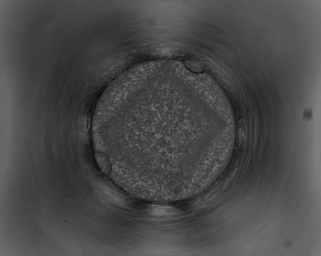 X0000101140605200807181256