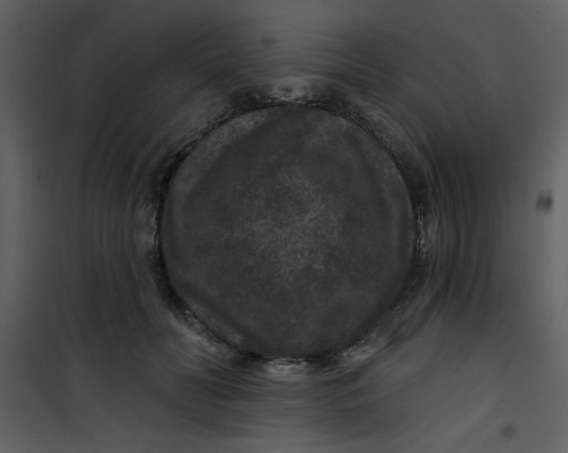 X0000101140606200807181256