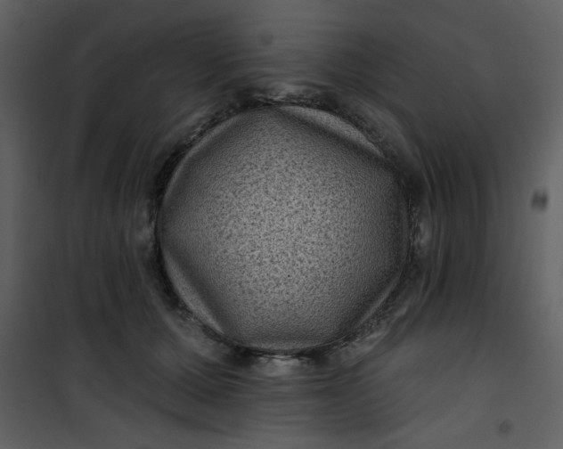 X0000101140607200807181256