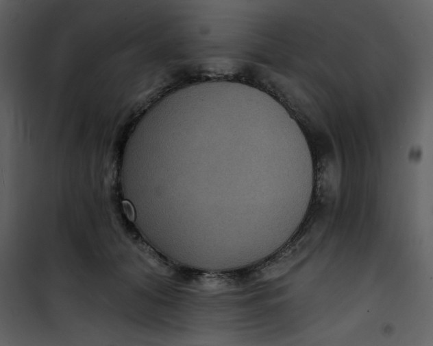 X0000101140608200807181256