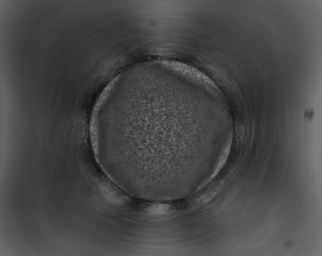 X0000101140609200807181256