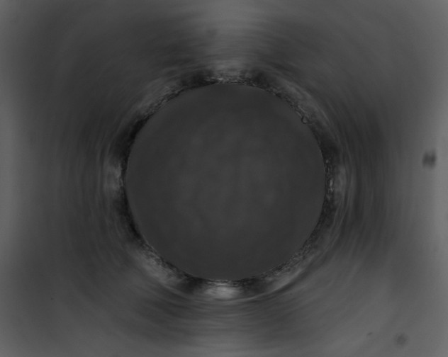 X0000101140610200807181256