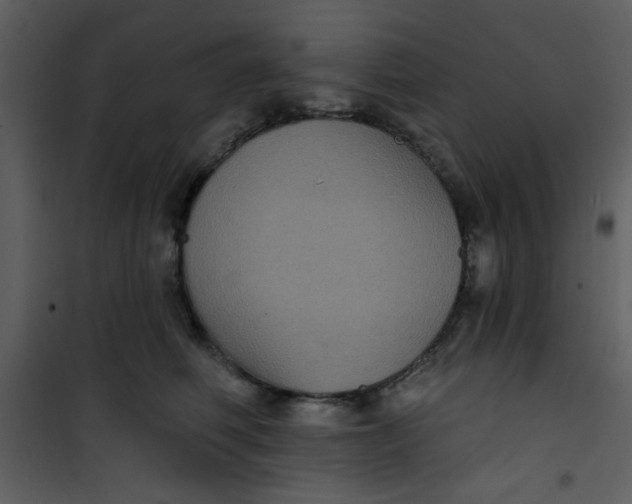 X0000101140614200807181256