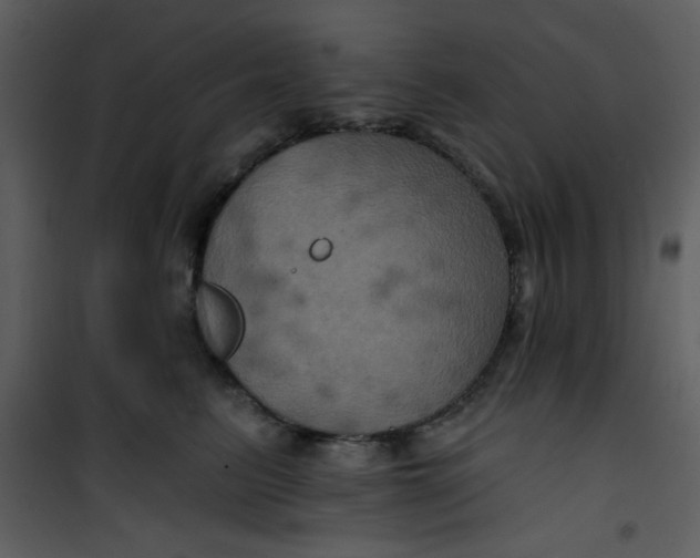 X0000101140615200807181256