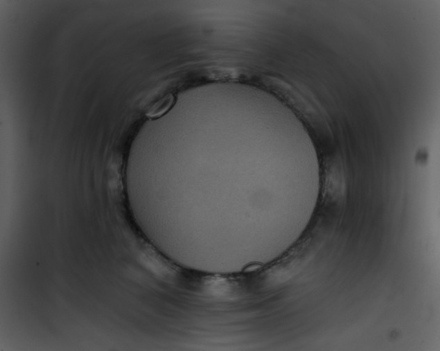 X0000101140616200807181256