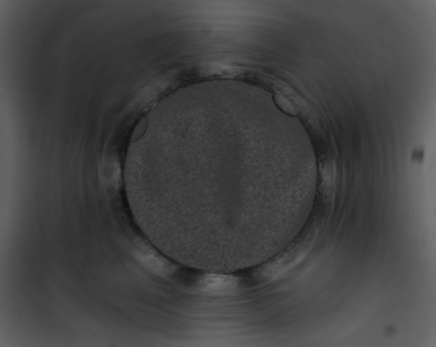 X0000101140617200807181256