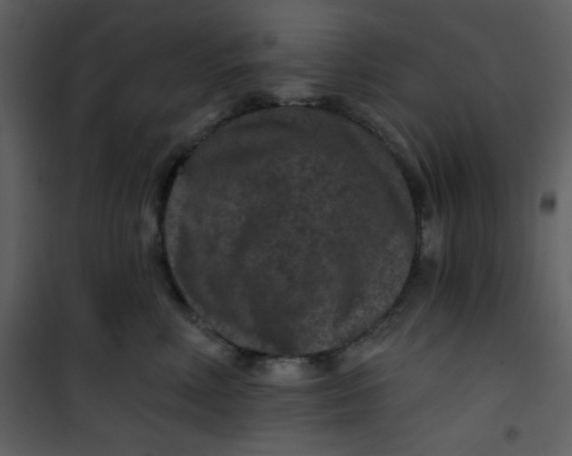 X0000101140618200807181256