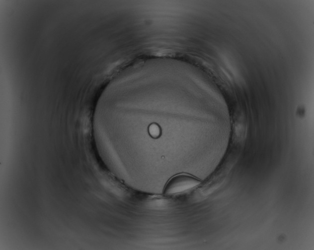 X0000101140620200807181256