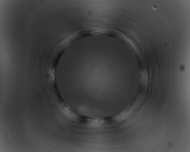 X0000101140621200807181256