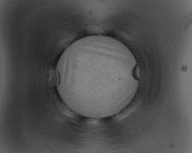 X0000101140624200807181256