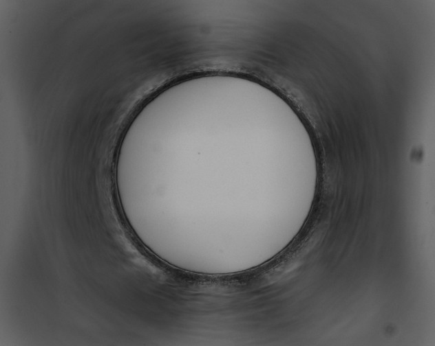 X0000101140625200807181255