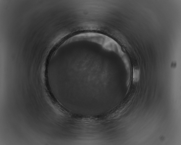 X0000101140627200807181255