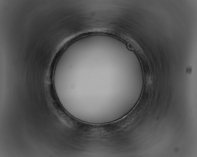 X0000101140628200807181255