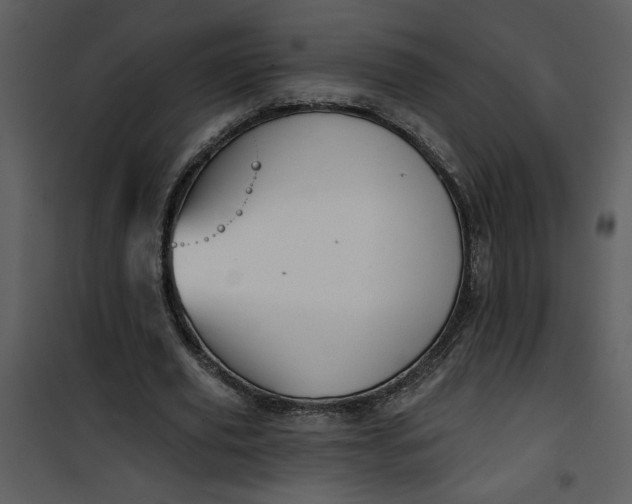 X0000101140629200807181255