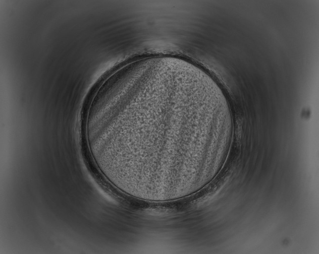 X0000101140630200807181255