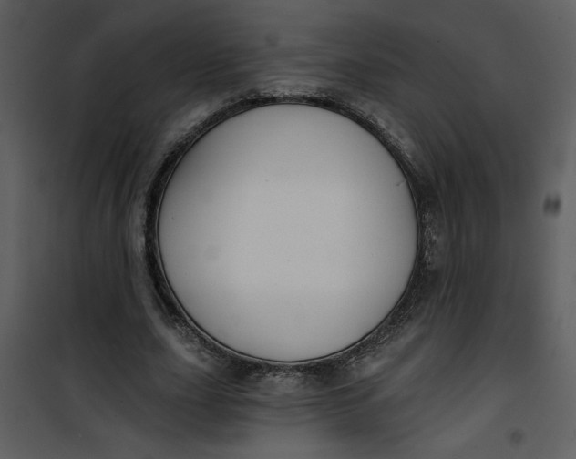 X0000101140631200807181255