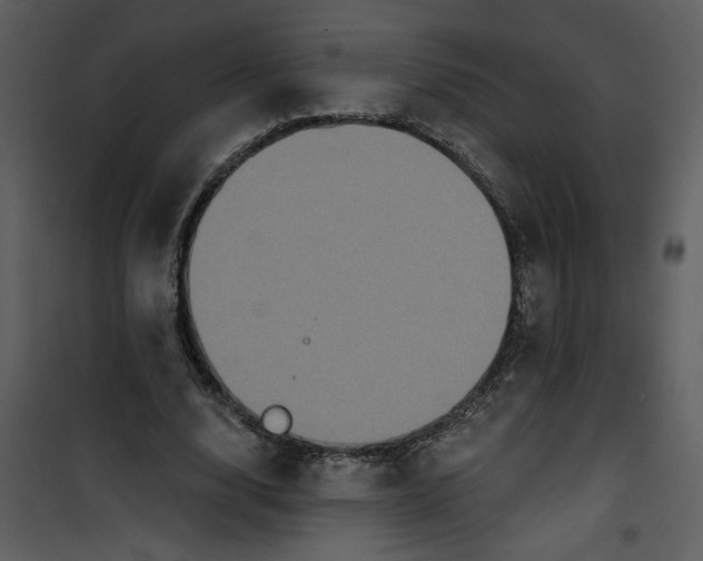 X0000101140632200807181255