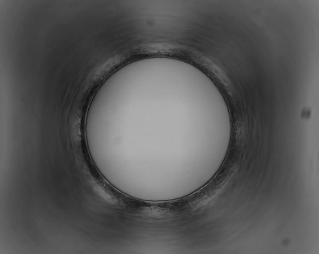 X0000101140633200807181256