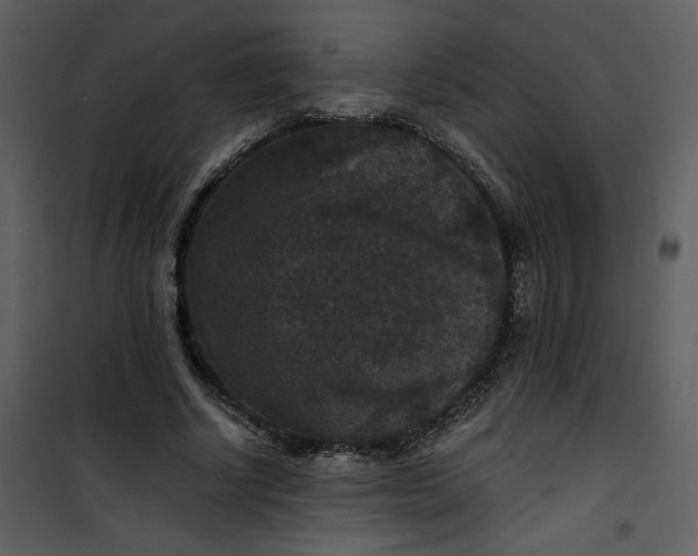 X0000101140634200807181256