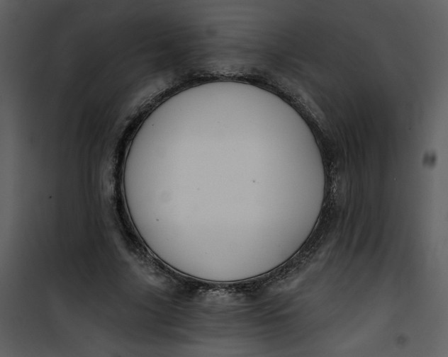 X0000101140635200807181256