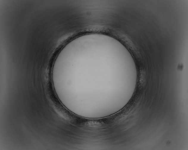 X0000101140636200807181256