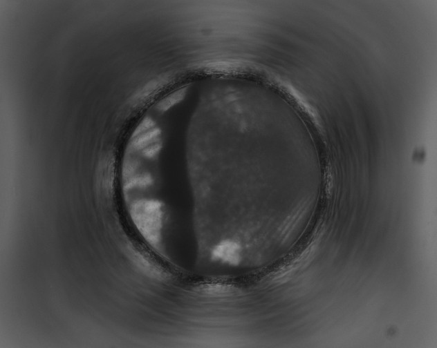 X0000101140637200807181256