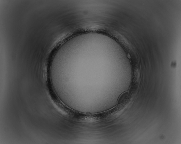 X0000101140638200807181256