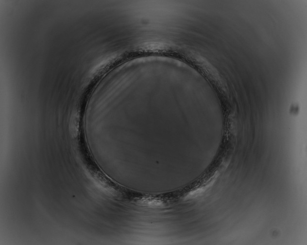 X0000101140640200807181256