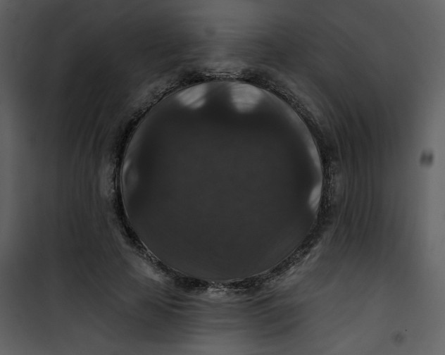 X0000101140641200807181256