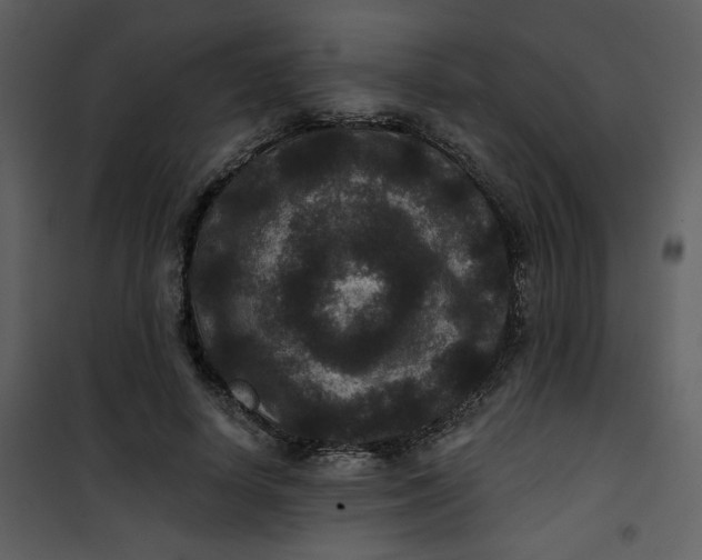 X0000101140642200807181256