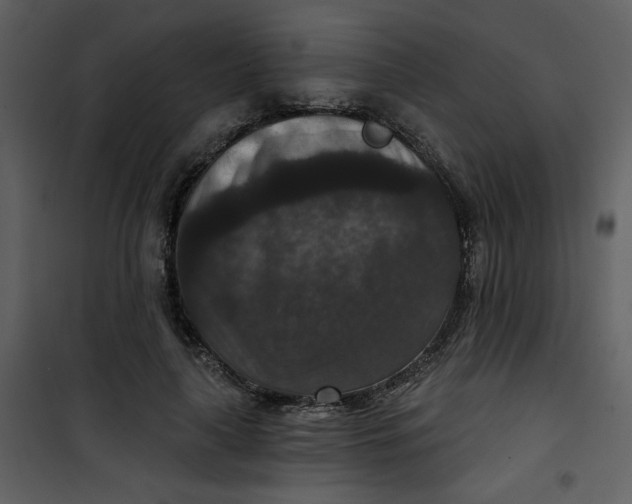 X0000101140643200807181256