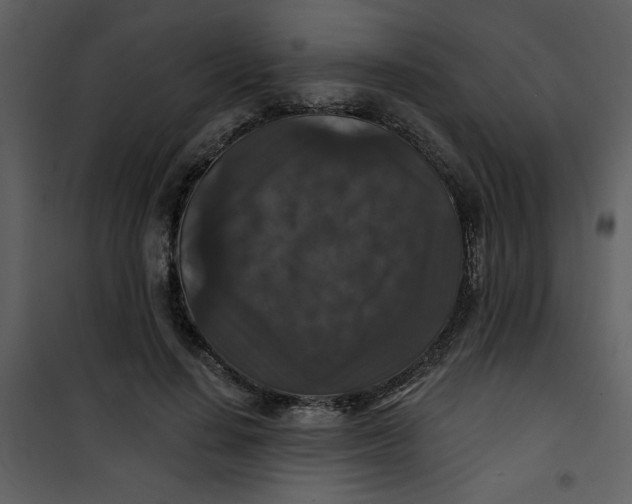 X0000101140644200807181256