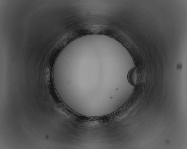 X0000101140646200807181256