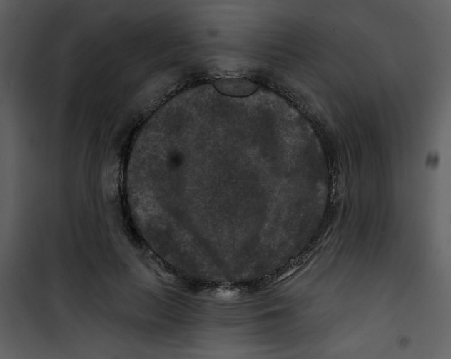 X0000101140647200807181256