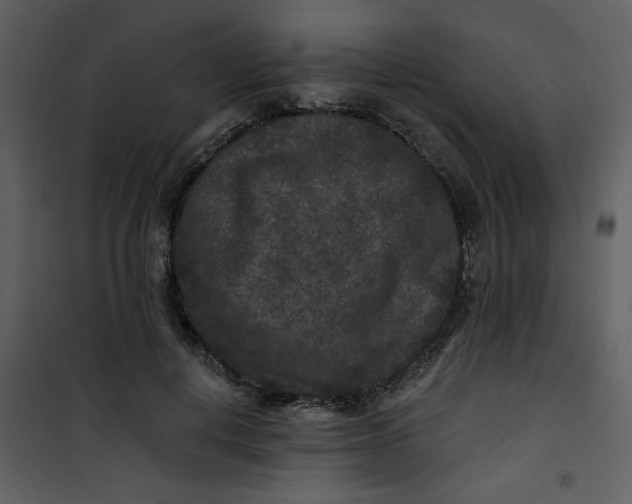 X0000101140648200807181256