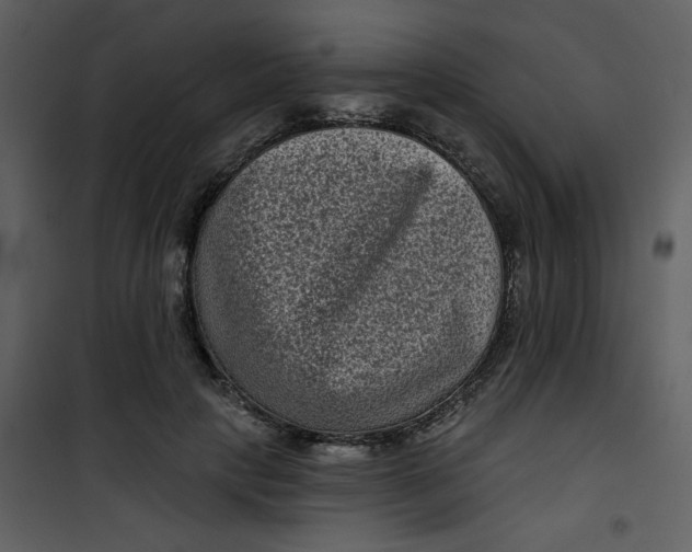 X0000101140649200807181256