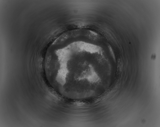 X0000101140650200807181256