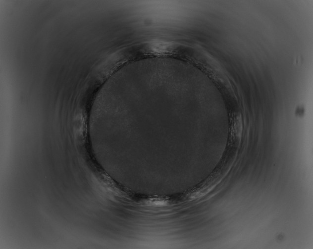 X0000101140651200807181256