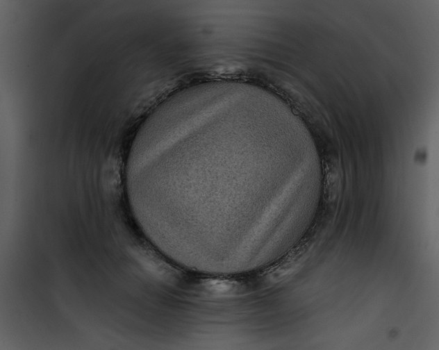 X0000101140654200807181256